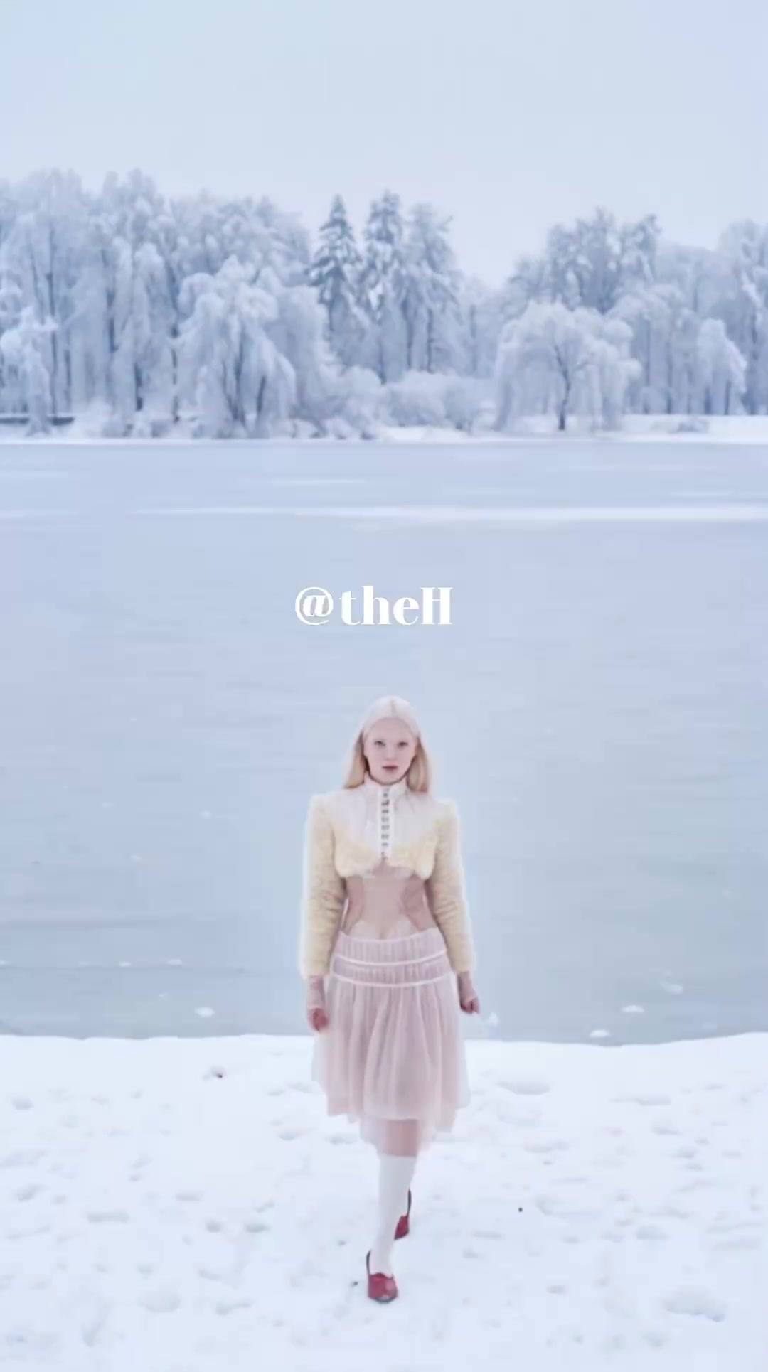 theH01